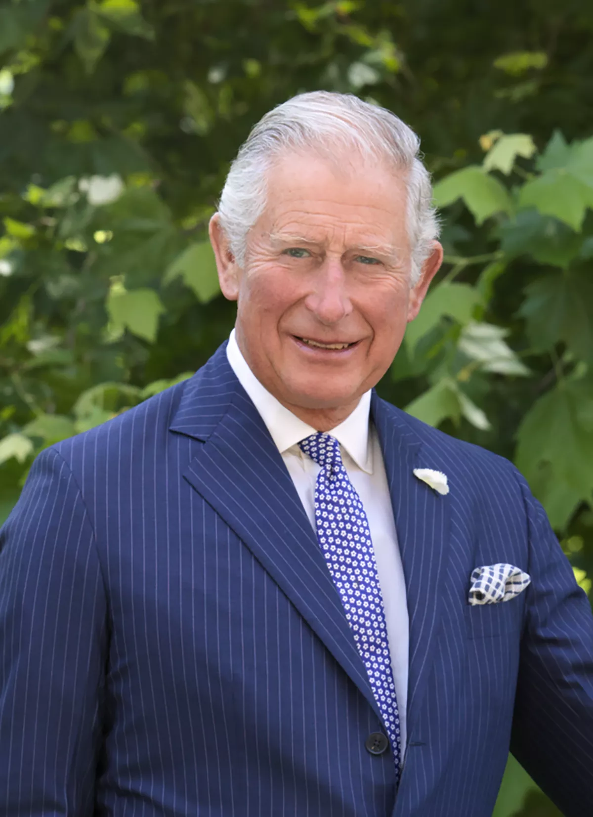 A head and shoulders image of a smartly dressed man with white hair. He wars a blue pinstripe suit, white shirt and blue and white tie, blue and white checked pocket handkerchief and a lapel flower. The backdrop is the green leaves of a tree.